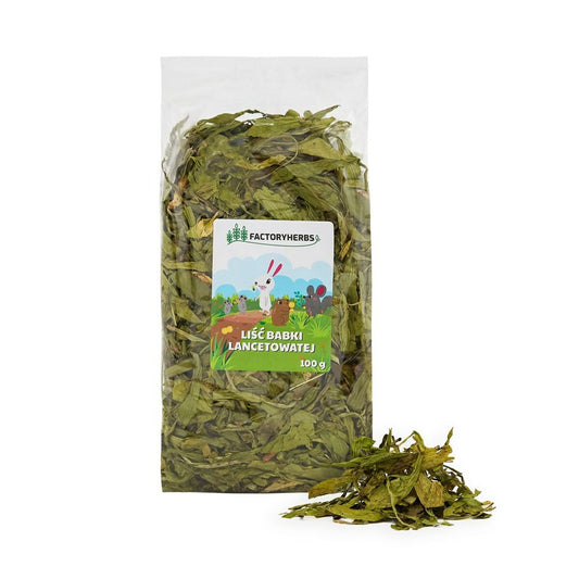 V4H7FABB322491F7F3CD7985D2545506167R5840586P1