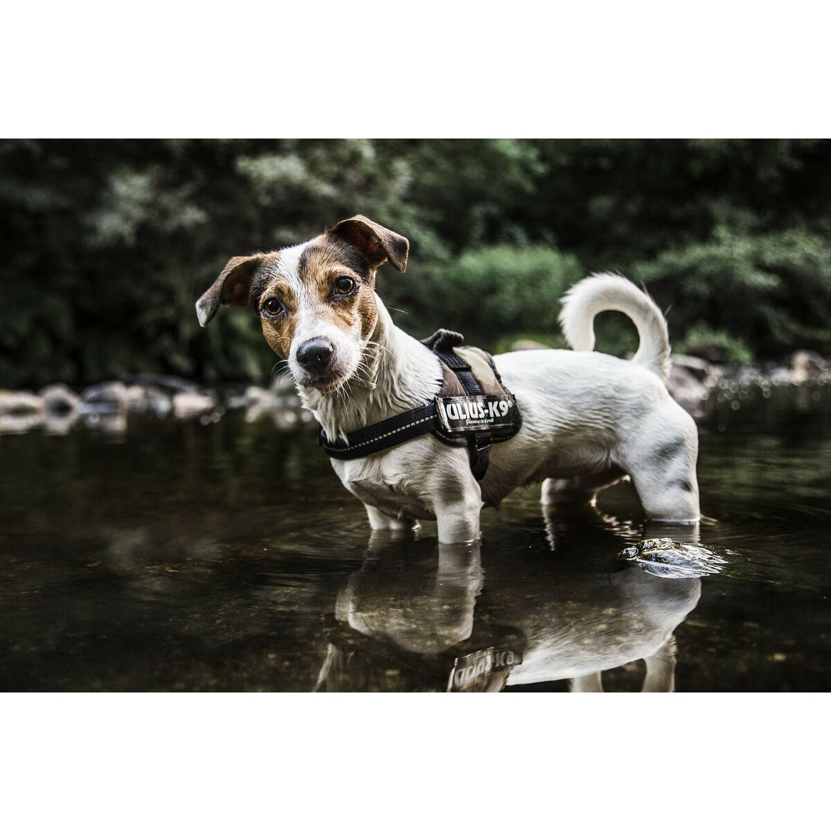 V4H80FF07D46DCDF008B8218E8D0FC41603R7526459P8