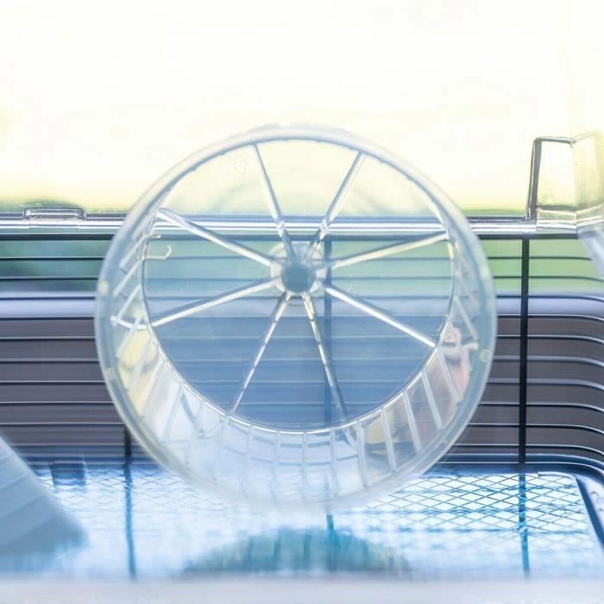 V4H1B15D0795597464CB2B8BE6C427DA79FR5780521P5