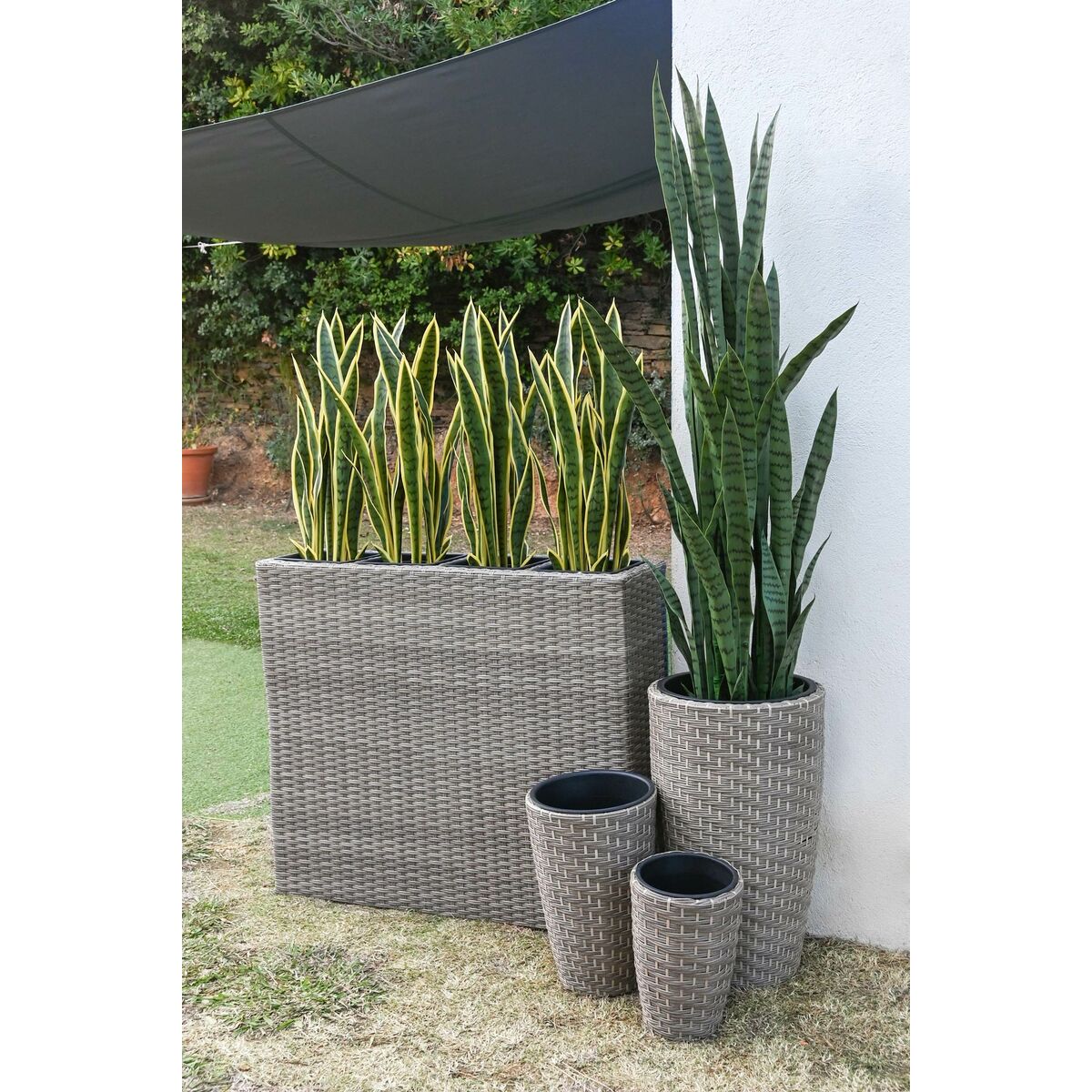 Vaso Home ESPRIT polipropilene Rattan 83 x 22 x 65 cm