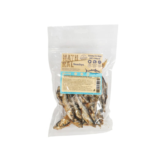 V4H3A76BB76A06370A455221C05E4A49EDER5292951P1