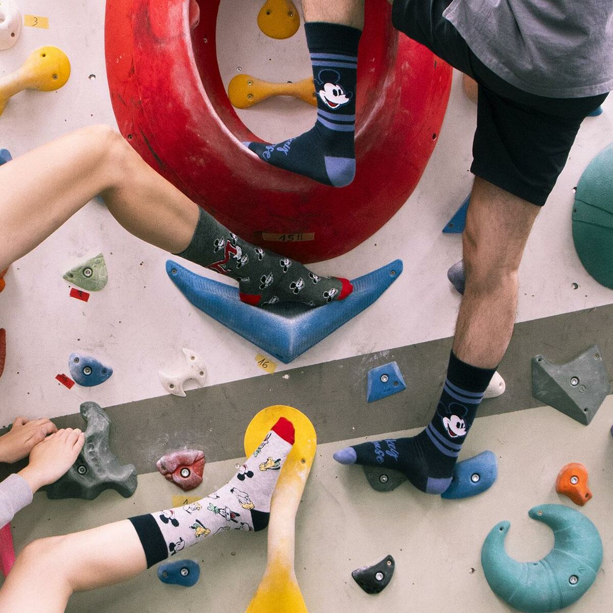 V4H36B1F5741F8828C4049671744FBB7BE8R5065433P2