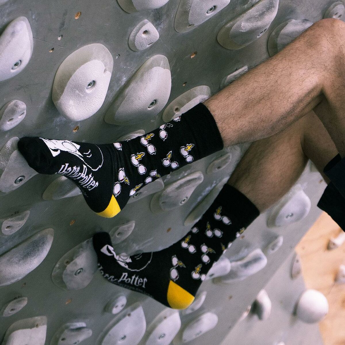 V5H1F05E3C3D91CDDA840F0A0DB12EAF4FAR5063412P2