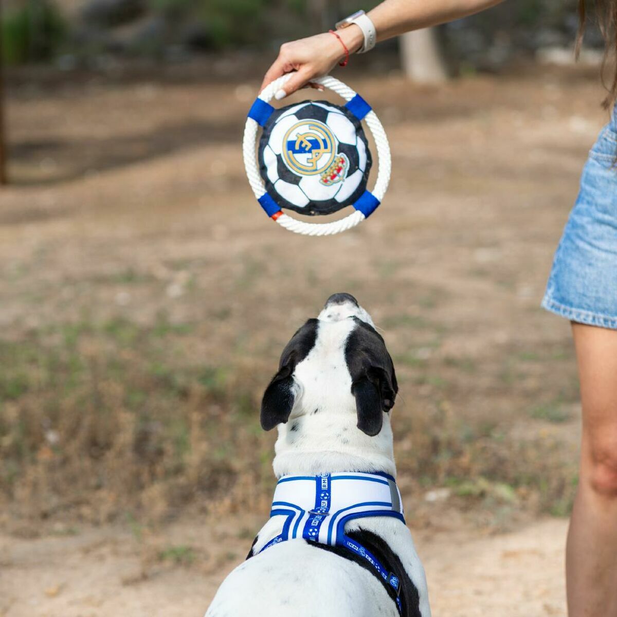 V3HAF34C54344F83DB35B796C991959C40DR7021653P2