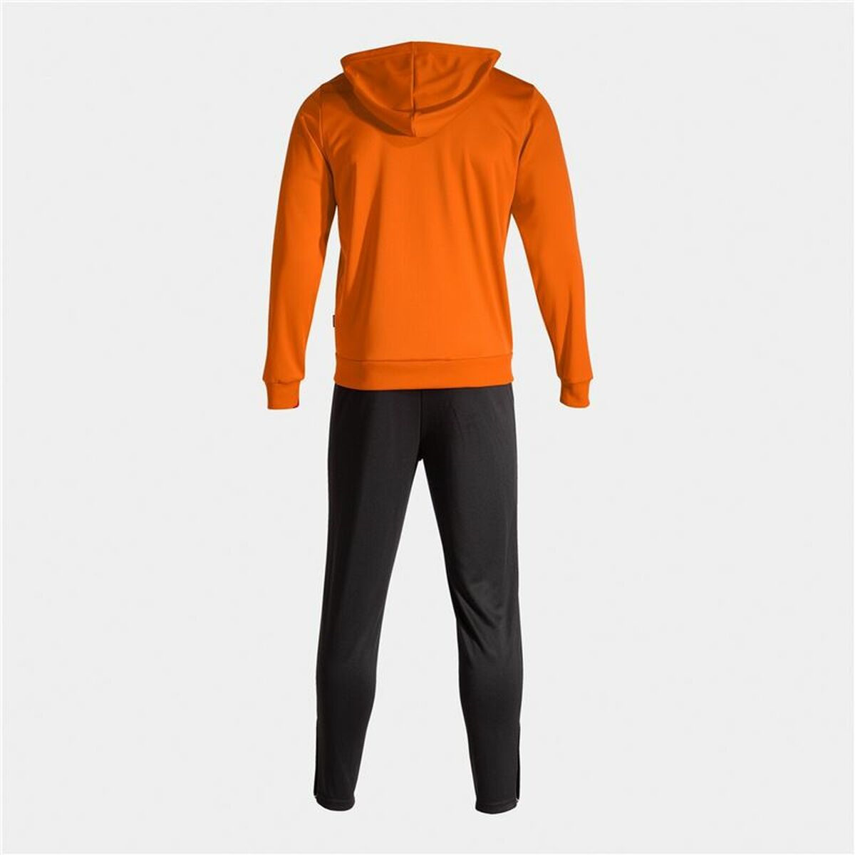 V6H5548949019CBFF019EF4C77863B5ED99R7247487P2