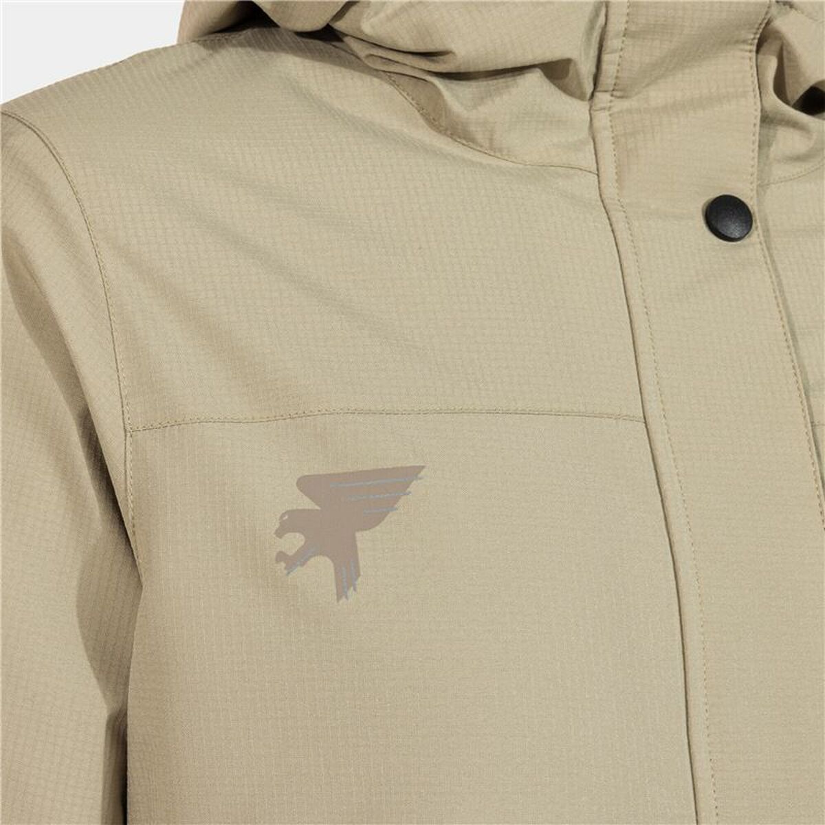 V4HDAE534EA467A850CF1CCF34F226244B1R5559440P3