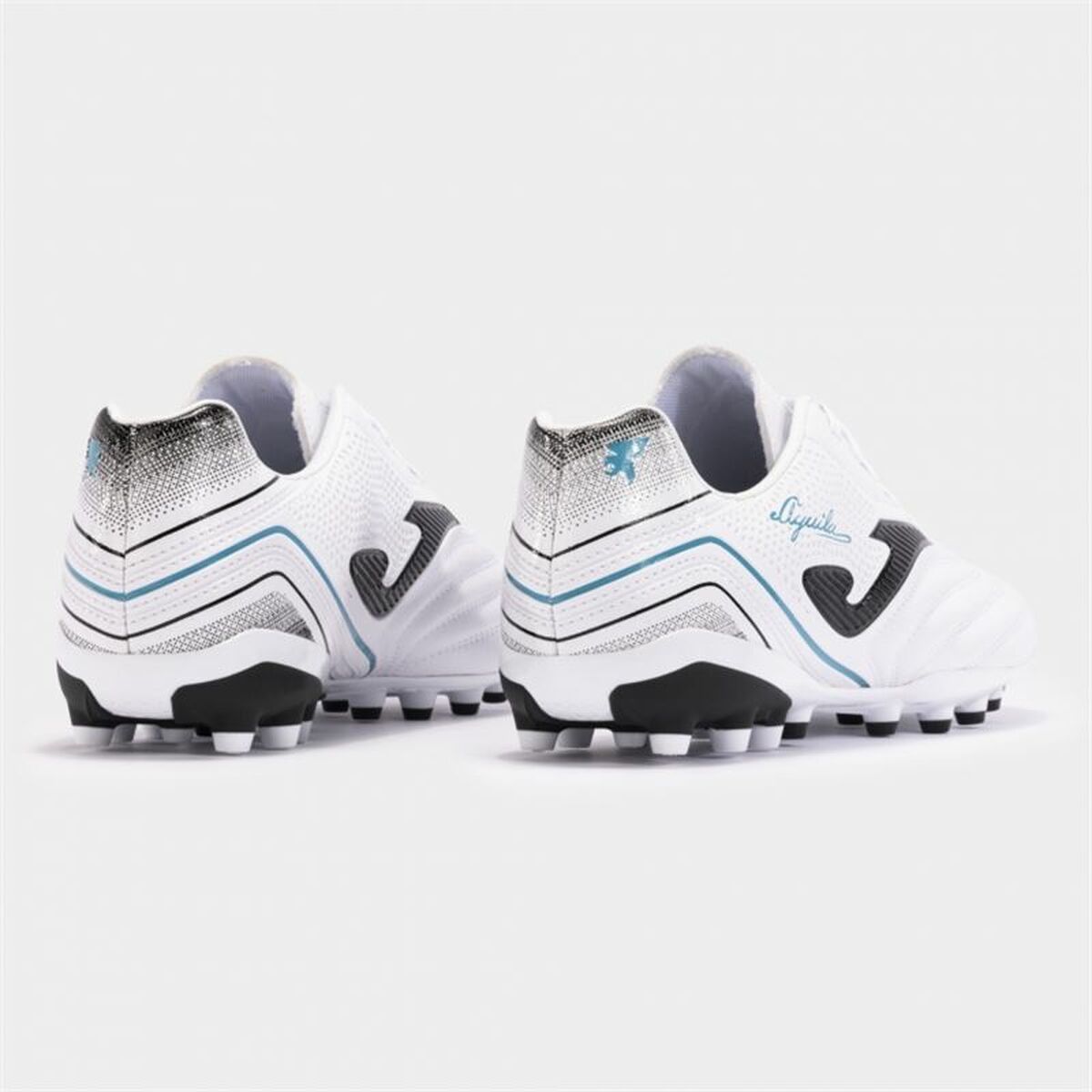 V2HFC25DB7C8783361E3FB5013698C3C6A1R5560710P5