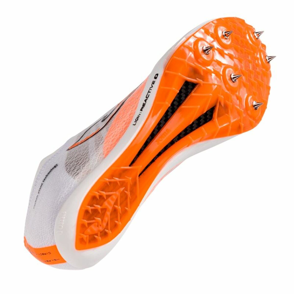 V3H0ACE735ED01473D7BBA4C7D6D74E75DAR6481992P2