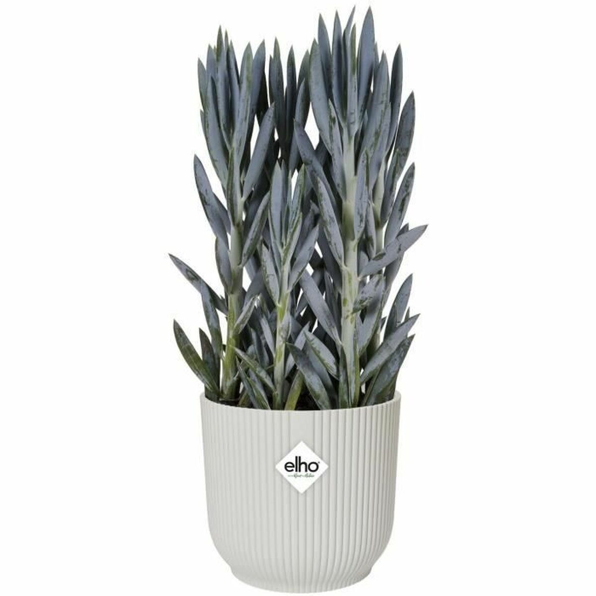 Vaso Elgato Bianco Ø 30 cm Plastica Rotondo Moderno