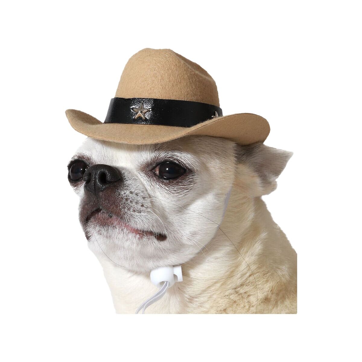 V2HD896608B235D8C76698E16EAA53A3BE9R7189030P1