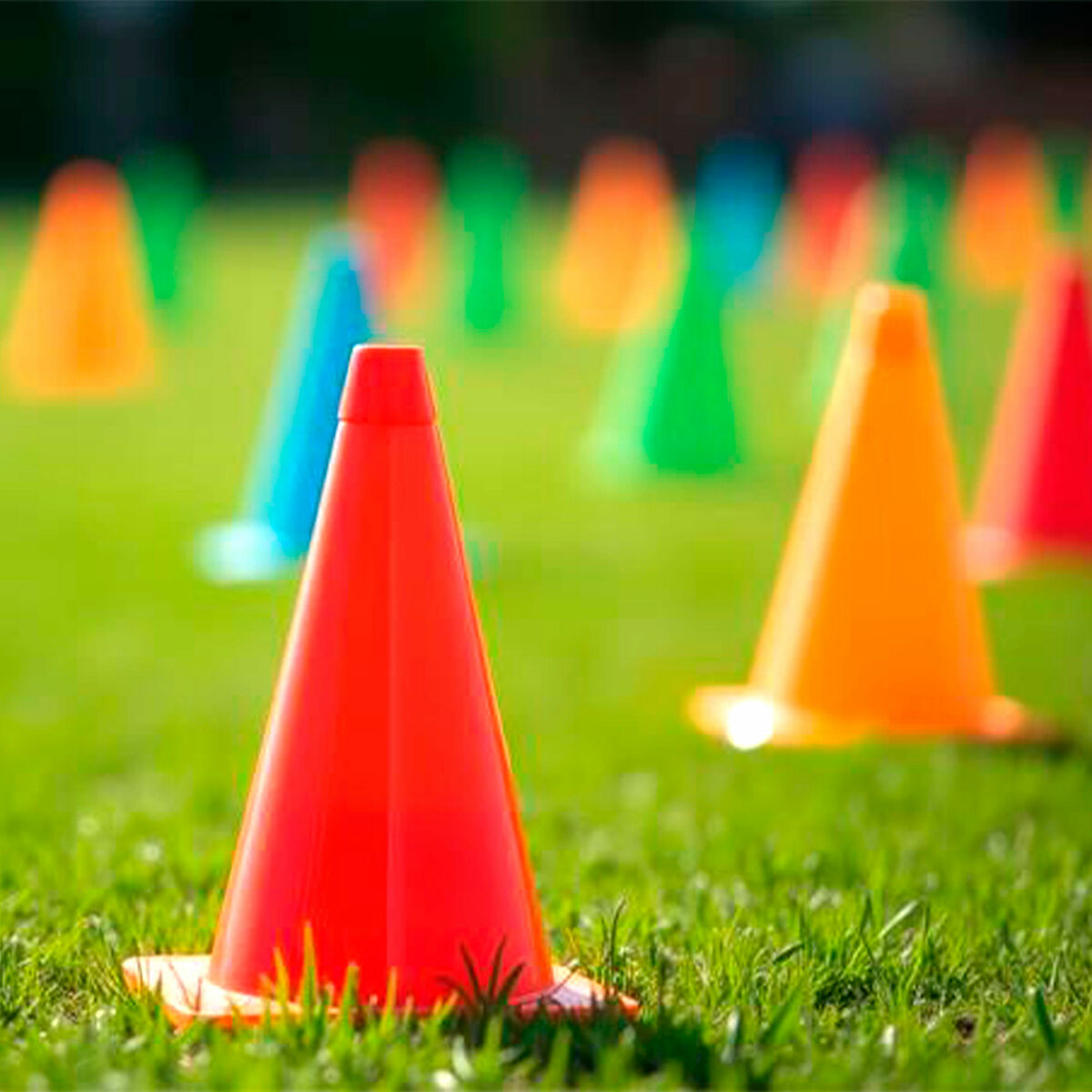 V3H1013395F4CC6B2E3C0DD28AF640E105CR7258787P4