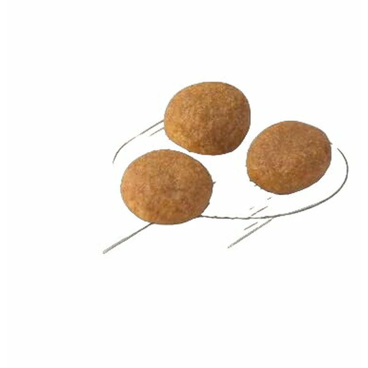 V9HA9E8EAE2942ACFE21A16DA0156D74760R4989245P3