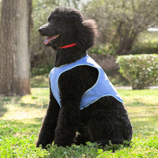 Gilet Rinfrescante per Animali Domestici Medi InnovaGoods - M