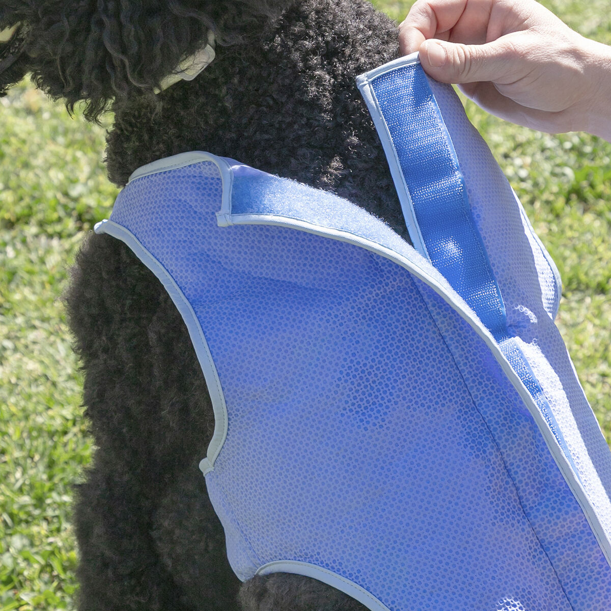 Gilet Rinfrescante per Animali Domestici Medi InnovaGoods - M