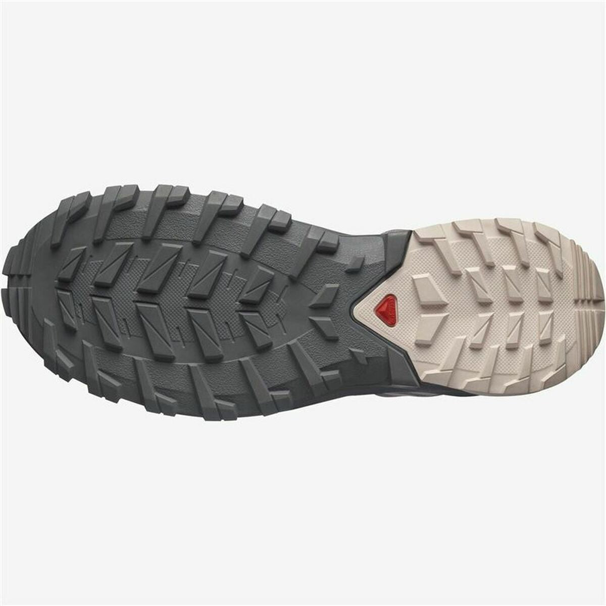 Scarpe da Running per Adulti Salomon  XA Rogg 2