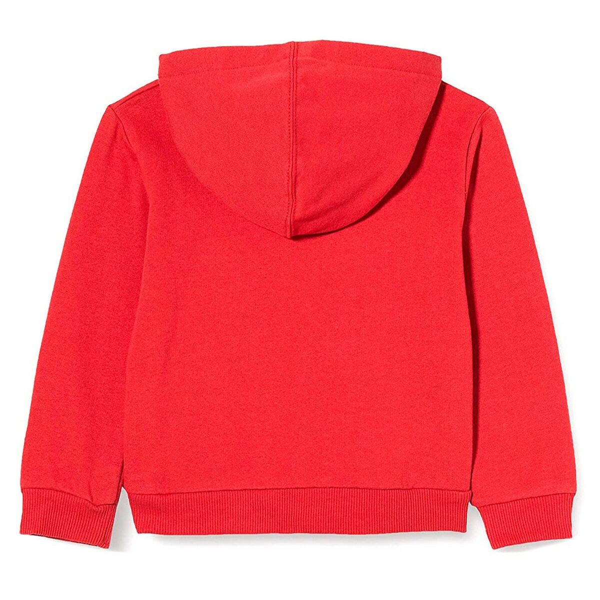 Felpa con Cappuccio Unisex Levi's Batwing Screenprint Boy Rosso