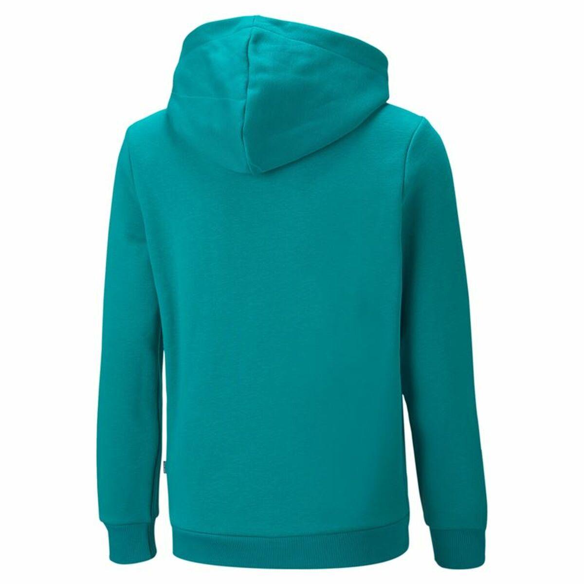 Felpa con Cappuccio Uomo Puma Essentials+ Two-T Ciano