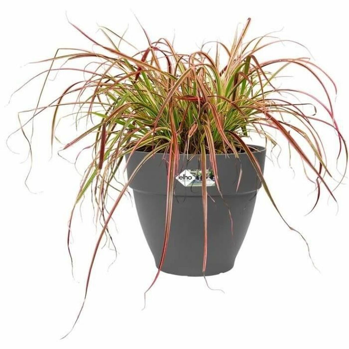Vaso Elho   Rotonda Plastica Ø 18 cm