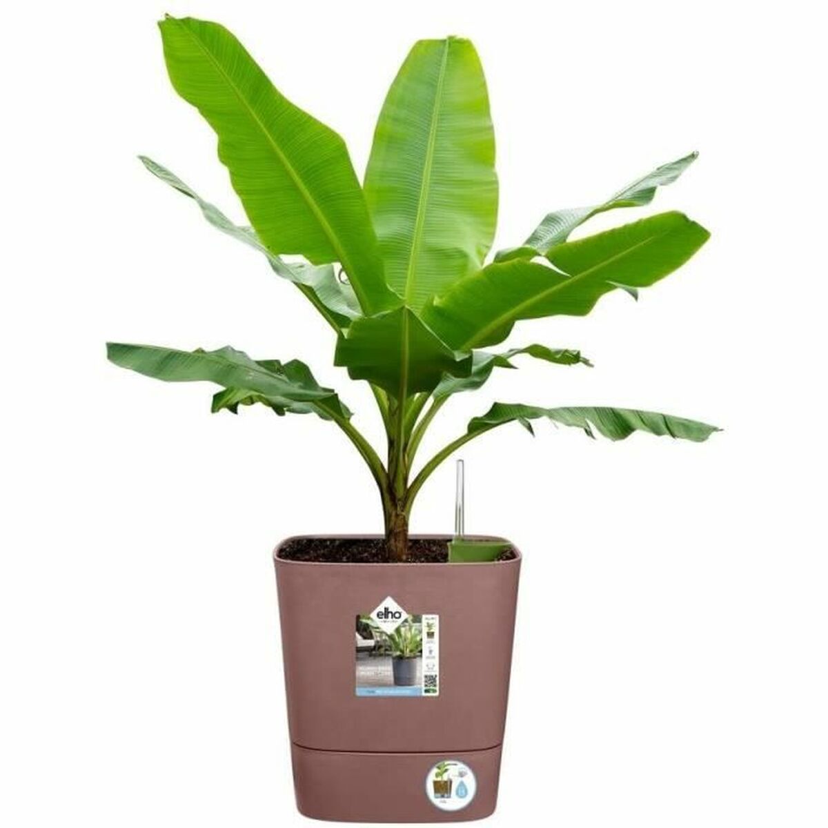 Vaso Autoirrigante Elho   Marrone Plastica Ø 30 cm